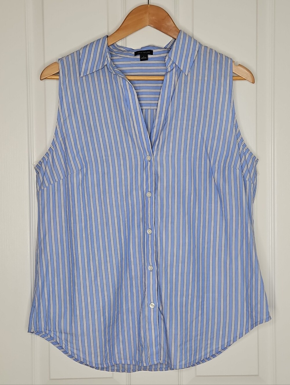 Ann Taylor Womens Sleeveless Button Down Blouse L Collared Blue Striped Cotton